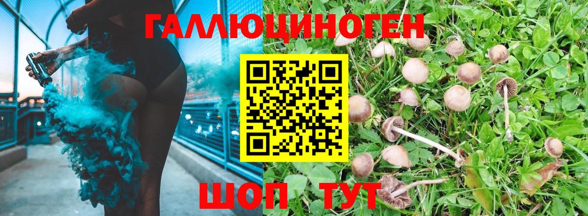 Галлюциногенные грибы Psilocybine cubensis  Галлюциногенные грибы Psilocybine cubensis  Кызыл  Вход с VPN 