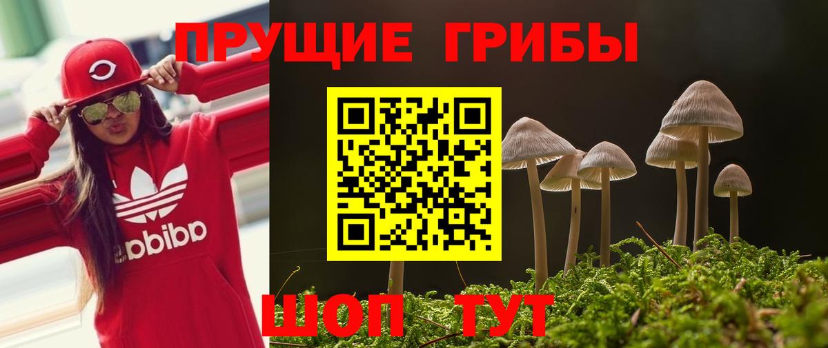 Псилоцибиновые грибы мухоморы Кызыл